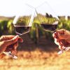 Zesty Zinfandel: A Most Versatile Grape